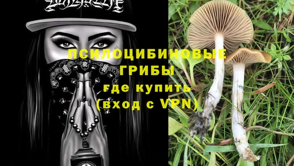 меф Балахна
