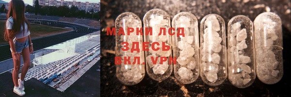 мяу мяу мука Баксан